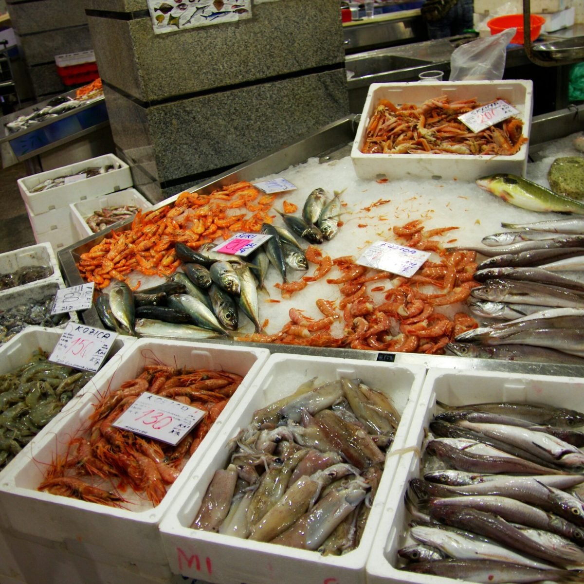 lothar-boris-piltz-rYtUMxsBqBE-unsplash