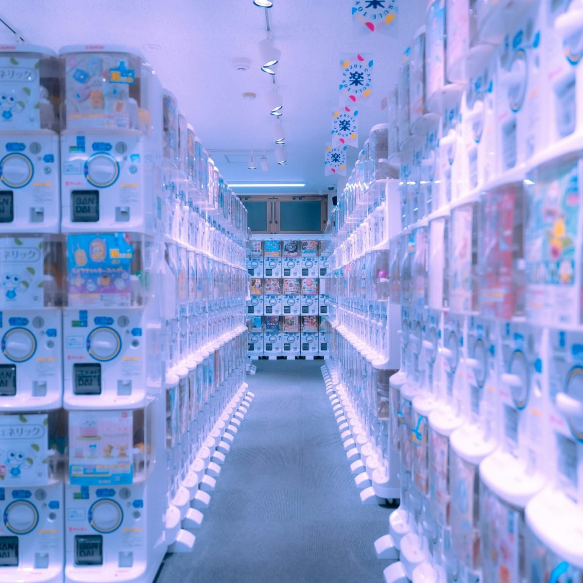 mos-design-7_w3dpUqI7o-unsplash