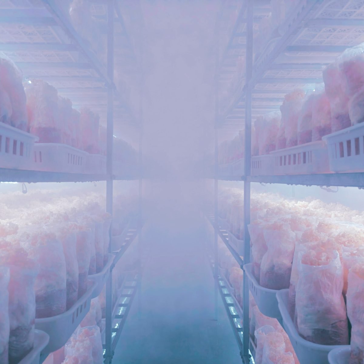 mrtiger-wBIX-TNSEQc-unsplash