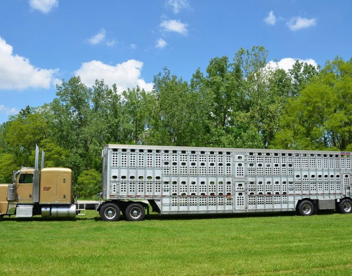 Electronics & Appliances Distributors Insurance