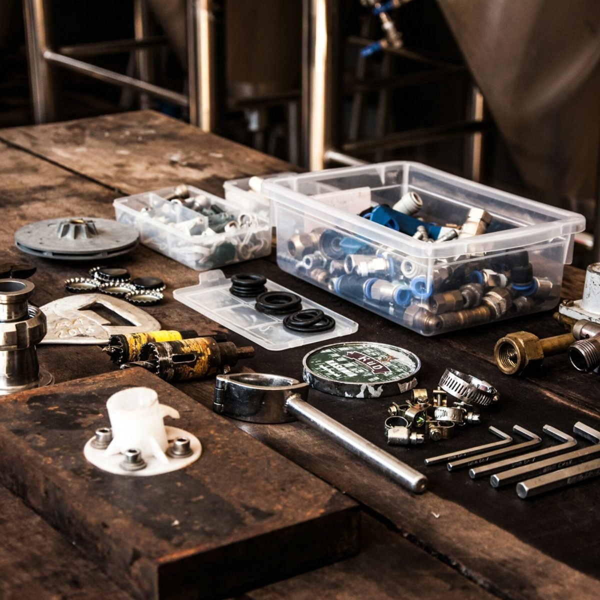 wesley-caribe-TtN_obfWlGw-unsplash